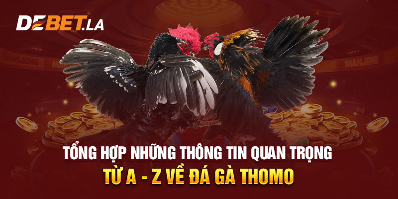 Tổng Hợp Những Thông Tin Quan Trọng Từ A - Z Về Đá Gà Thomo