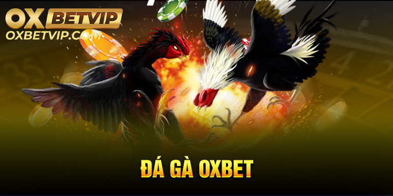 Giới thiệu game Đá Gà Oxbet chi tiết 2023